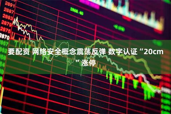 要配资 网络安全概念震荡反弹 数字认证“20cm”涨停